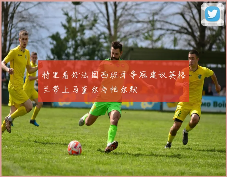 特里看好法国西班牙争冠建议英格兰带上马奎尔与帕尔默