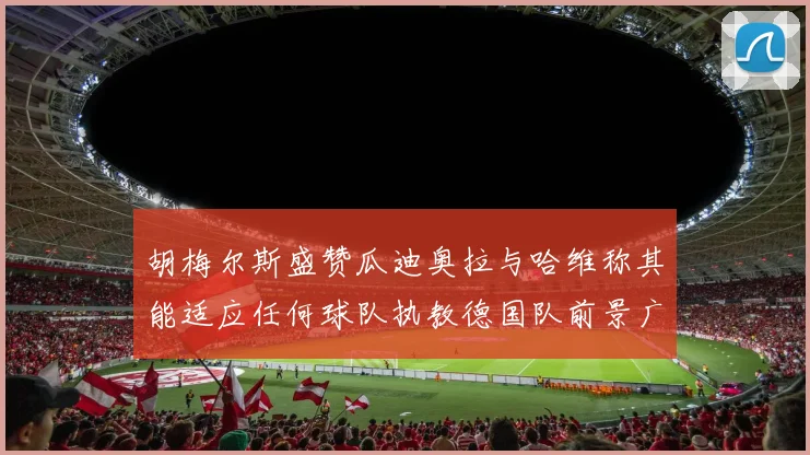胡梅尔斯盛赞瓜迪奥拉与哈维称其能适应任何球队执教德国队前景广阔